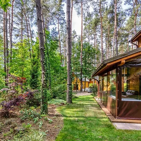 Lesna Oaza Apartment *
